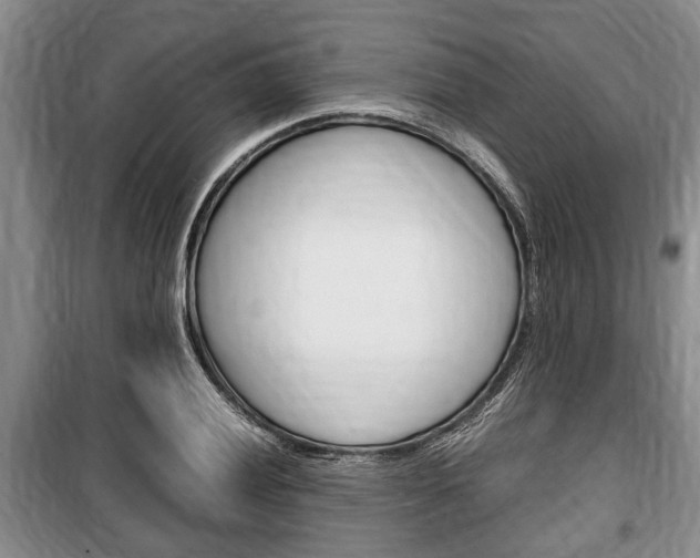 X0000100351028200806060755