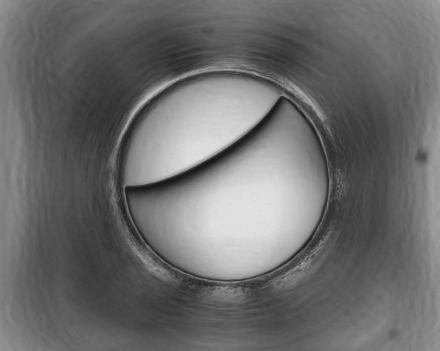 X0000100351029200806060755
