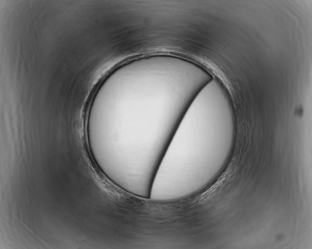 X0000100351031200806060756