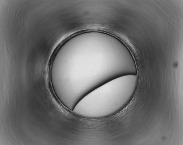 X0000100351032200806060756