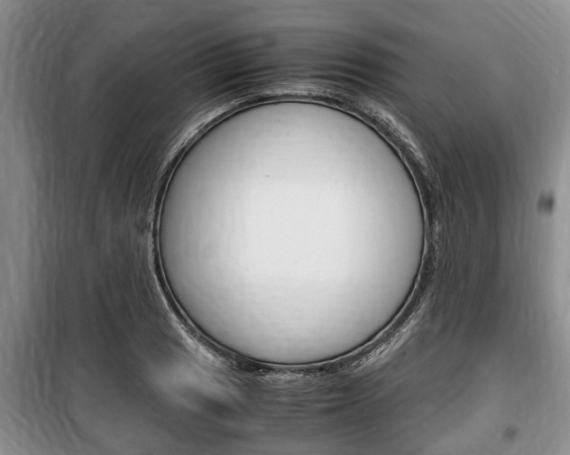 X0000100351033200806060756