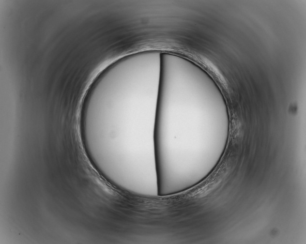 X0000100351035200806060756