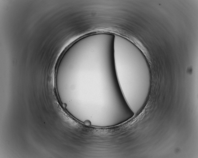 X0000100351036200806060756
