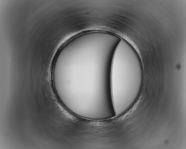 X0000100351037200806060756