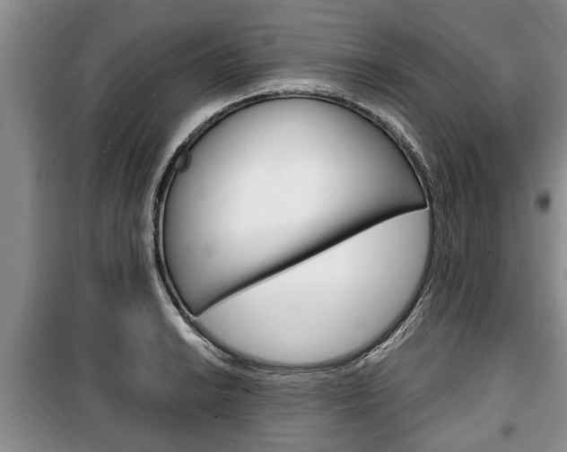 X0000100351038200806060756