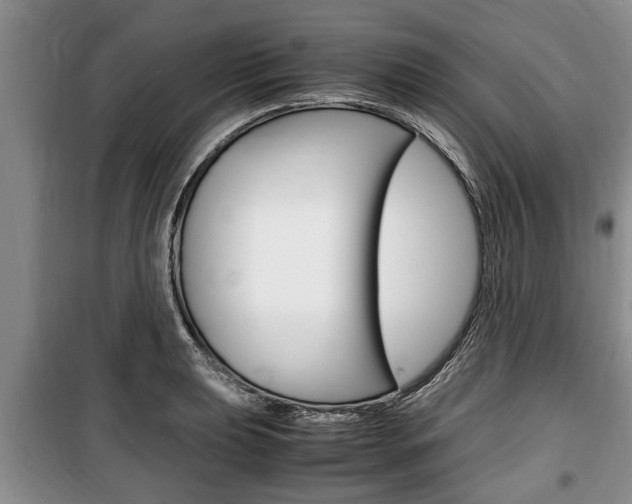 X0000100351039200806060756