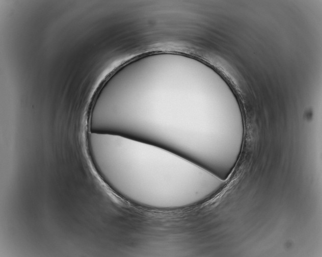 X0000100351040200806060756