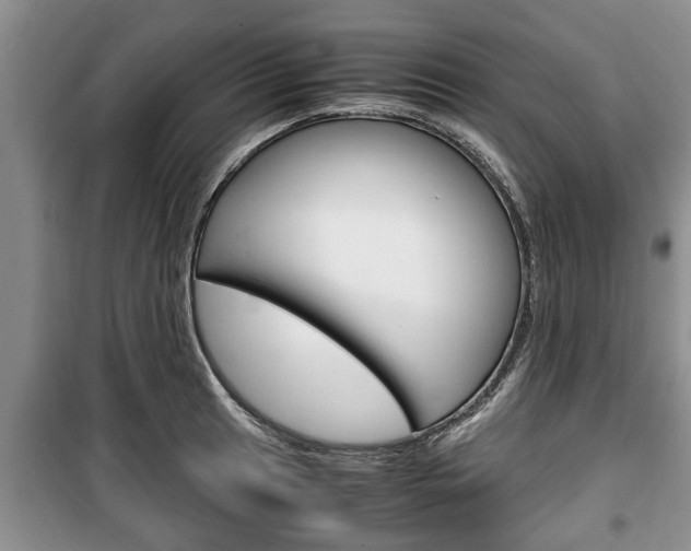 X0000100351041200806060756
