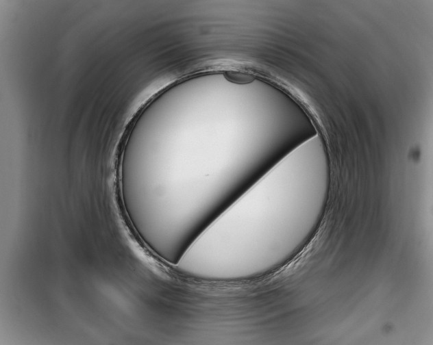 X0000100351042200806060756