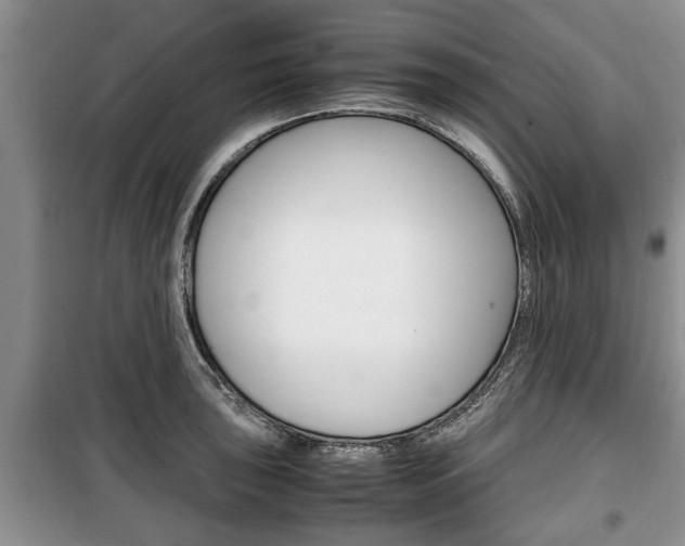 X0000100351043200806060756