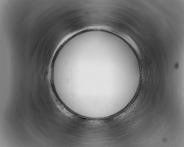 X0000100351044200806060756