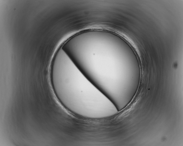 X0000100351045200806060756