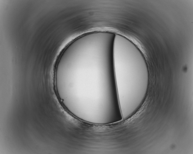 X0000100351046200806060756