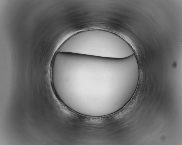 X0000100351047200806060756