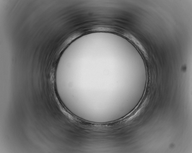 X0000100351049200806060756