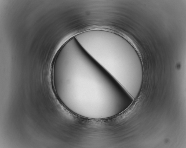 X0000100351050200806060756