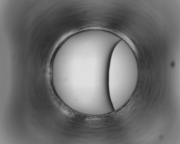 X0000100351051200806060756