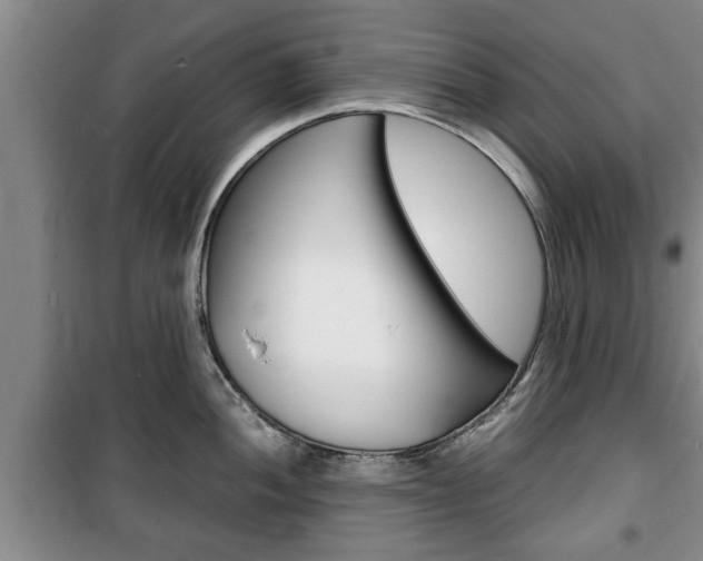 X0000100351052200806060756