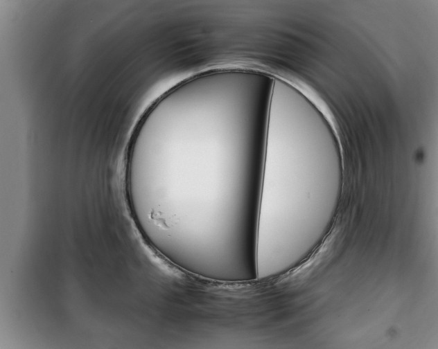 X0000100351053200806060756