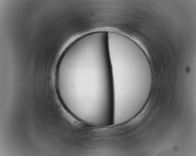 X0000100351054200806060756