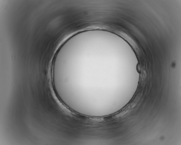 X0000100351055200806060756