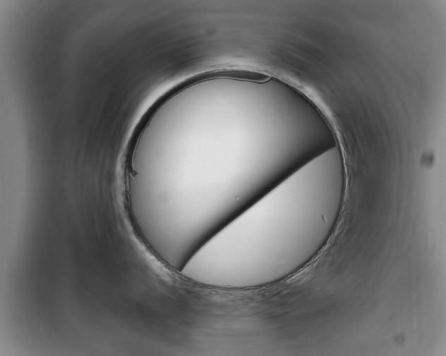 X0000100351056200806060756