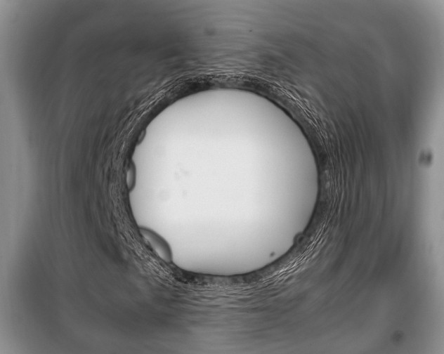 X0000100351057200806060755