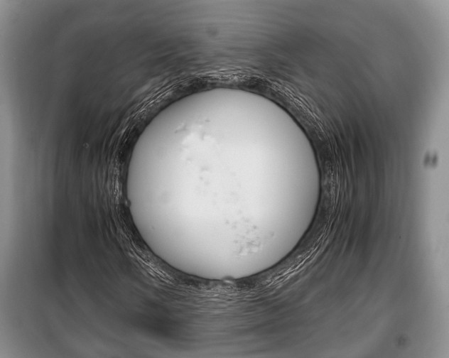 X0000100351058200806060755