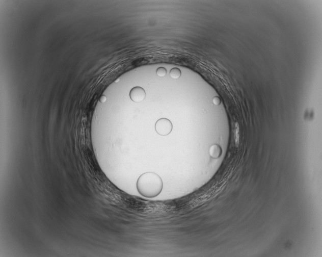 X0000100351059200806060755