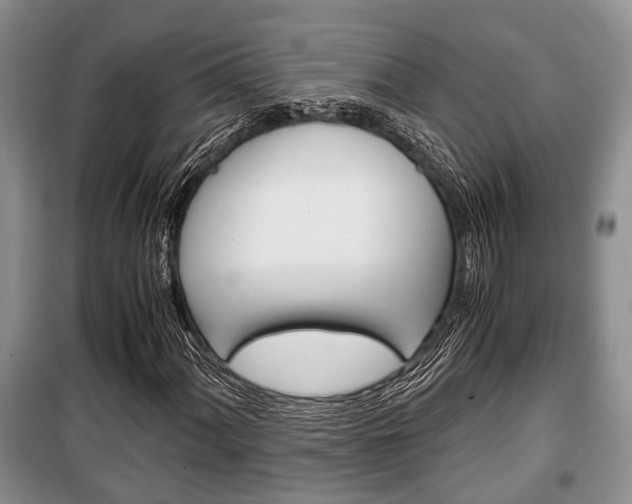 X0000100351060200806060755