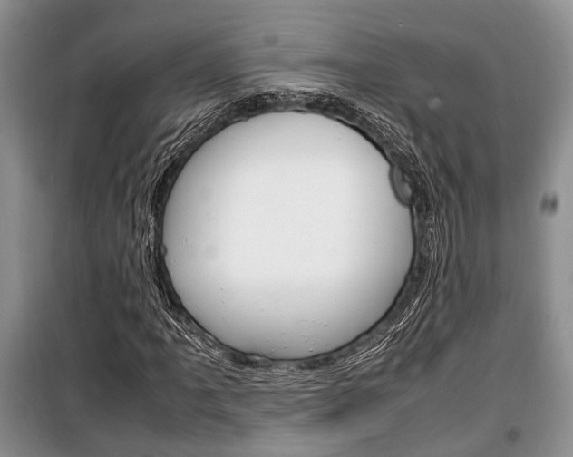 X0000100351061200806060755