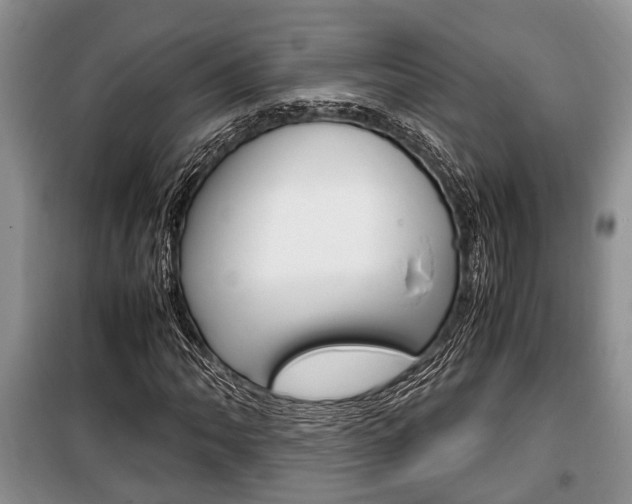 X0000100351062200806060755