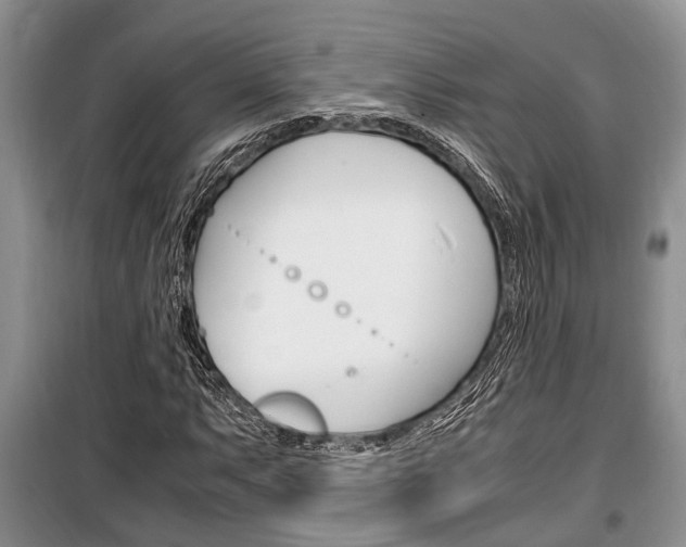 X0000100351063200806060755