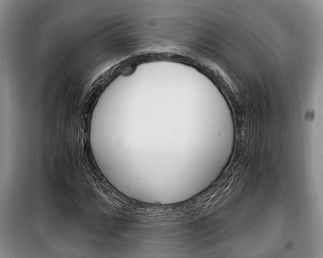 X0000100351064200806060755
