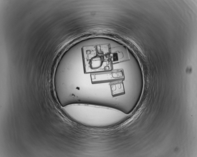 X0000100351065200806060755