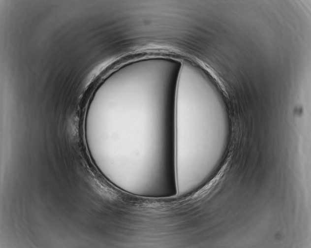 X0000100351066200806060755