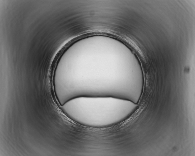 X0000100351068200806060755