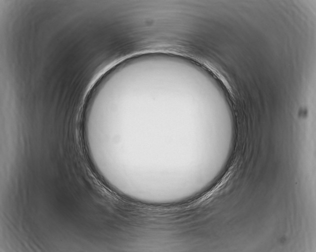 X0000100351069200806060755