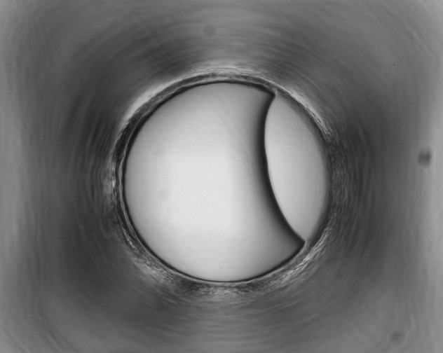 X0000100351070200806060755
