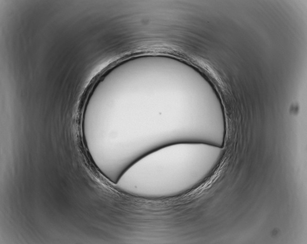 X0000100351071200806060755