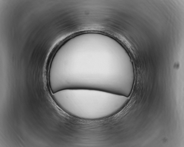 X0000100351072200806060755