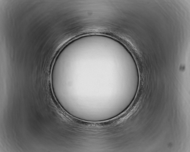 X0000100351073200806060755