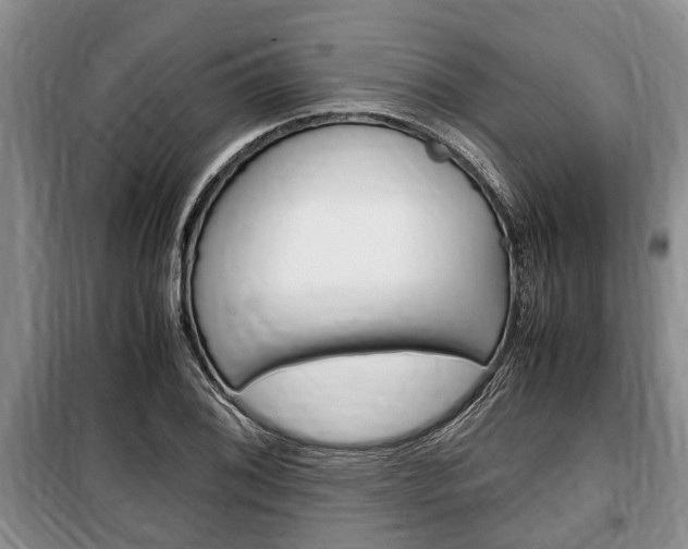 X0000100351076200806060755