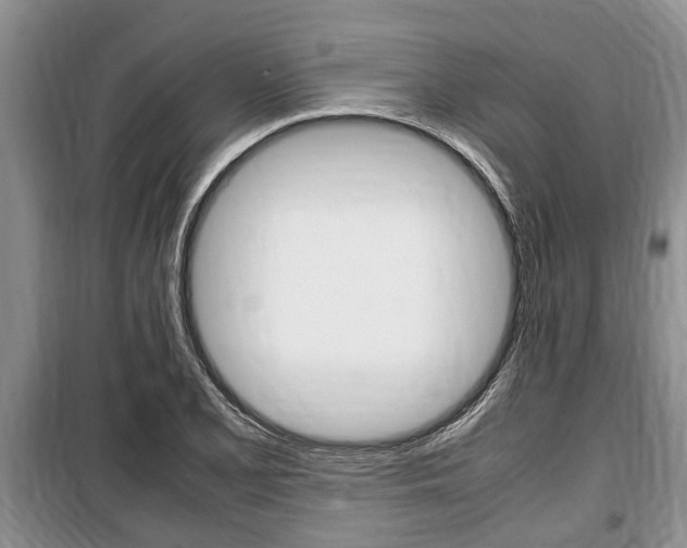 X0000100351077200806060755