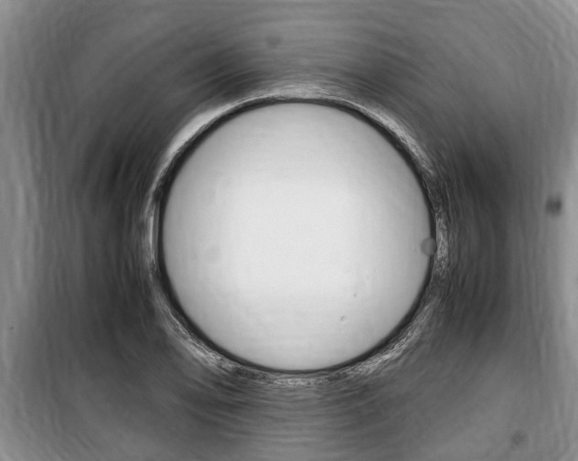 X0000100351078200806060755