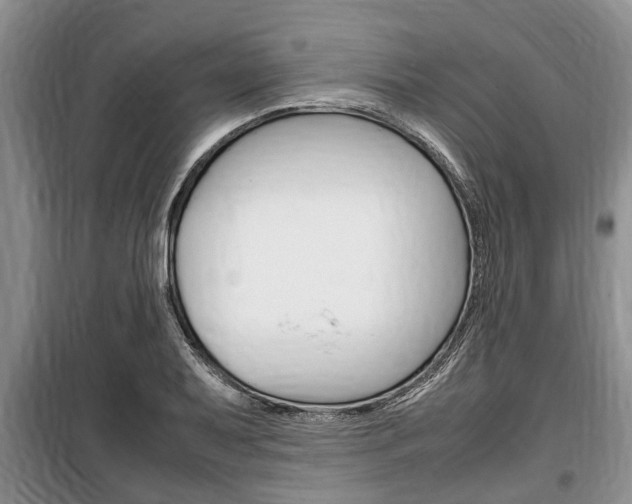 X0000100351079200806060755