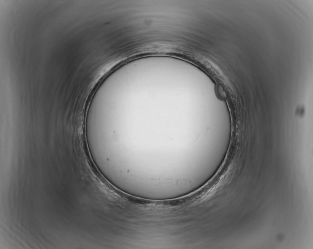 X0000100351081200806060755