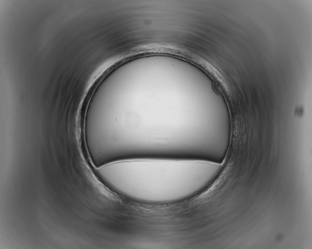 X0000100351082200806060755
