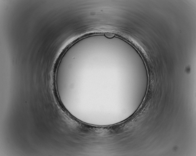 X0000100351085200806060755