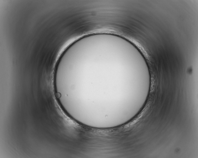 X0000100351086200806060755
